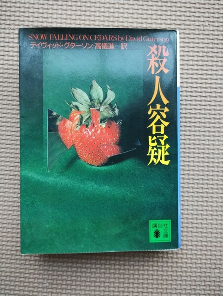 書籍　殺人容疑　デイヴィッド・グターソン　高儀進　訳