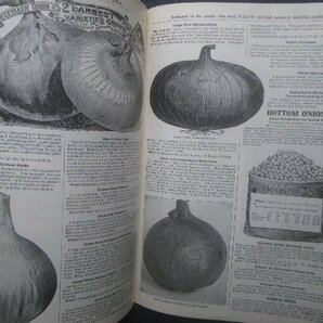 1917年 アメリカ 野菜/花 植物 種苗カタログ Berry's Money Saving Seed Guide Guaranteed Seeds 園芸/農場 栽培方法/種子品種 球根の画像3