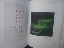 Jacques Donguy 実験詩 前衛 視覚的・音響的 400ページ 洋書 Poesies experimentales Zone numerique 1953-2007_画像2