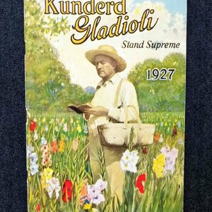 1927年 グラジオラス アメリカ園芸会社カタログ Kunderd Gladioli Stand Supreme/A. E. Kunderd 園芸/種子/花 植物画 イリス/アイリスの画像1