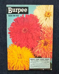 1953年 Burpee Seeds 百日草 ジニア 花・植物 種子 園芸/フルーツ/野菜/果物 植物画/農業用品 ヴィンテージ アメリカ・カタログ