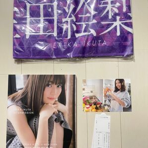 乃木坂46 生田絵梨花 インターミッション 写真集 タオル