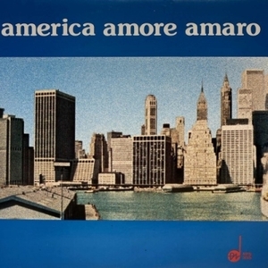 【コピス吉祥寺】R. DUCROS/AMERICA AMORE AMARO(MPS3015)