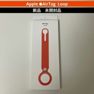 Apple AirTag Loop エアタグ　忘れ物たぐ　キーホルダー