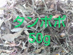 タンポポ 乾燥　約50g 農薬不使用