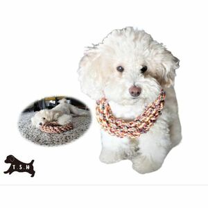  for pets rope made colorful frisbee dog for -stroke less cancellation .. toy 