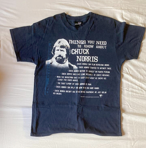 古着 Tシャツ [ Chuck Norris - Things you Need To Know About ] Mサイズ / 野獣走査線 / チャック・ノリス / 地獄のヒーロー