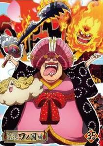 ONE PIECE ワンピース 20thシーズン ワノ国編 R-35 レンタル落ち 中古 DVD