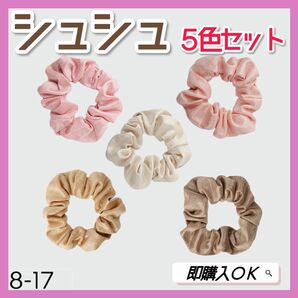 【年末セール】 シュシュ 5色セット ヘアゴム ヘアアクセサリー メタリック カラフル プレゼント お揃い 可愛い 人気 売れ筋