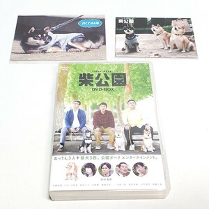 【DVD】柴公園 DVD-BOX 3枚組 おっさん3人+柴犬3匹。公園ダベリエンターテインメント。 ユーズド品