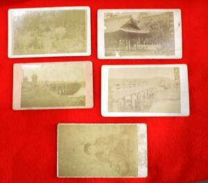  chicken egg paper photograph 5 sheets Meiji era 