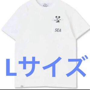 新品★ WIND AND SEA × Disney 100周年記念