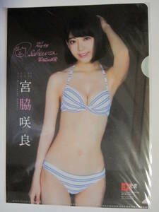  clear file . side . good HKT48* new goods unopened 