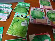 レタス　種子たち　期限切れ・開封済のためジャンク扱い　タキイ・サカタ_画像2