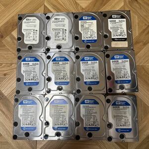 12枚セット【送料無料/動作保証/使用0時間】WDC 640GB WD6400AAKS WD6401AALS 3.5インチHDD SATA (10）