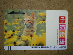 neko*110-10246 weekly shining star . cat monogatari . pre telephone card 