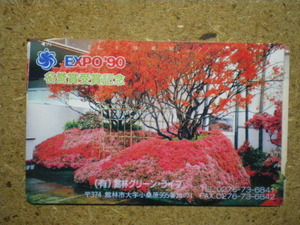 haku・国際花と緑の博覧会　EXPO'90　館林グリーンライフ　テレカ