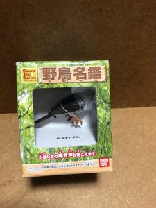 バンダイ 野鳥名鑑 ホトトギス 食玩 当時モノ 未開封品 現状渡し 音声ＩＣ内蔵ベース