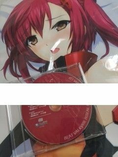 5 超昂神騎エクシール キリカ＆キリエル 抱き枕カバー＋CD/アリスソフト