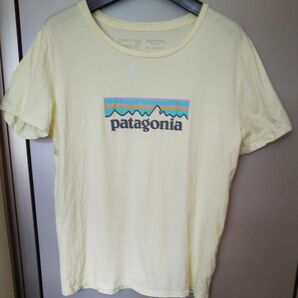 最安値【M】patagonia 半袖Tシャツ