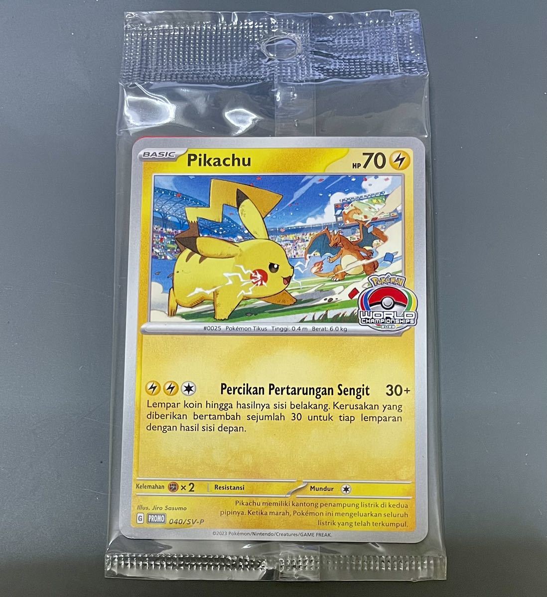 2023年最新】ヤフオク! -ピカチュウ プロモの中古品・新品・未使用品一覧