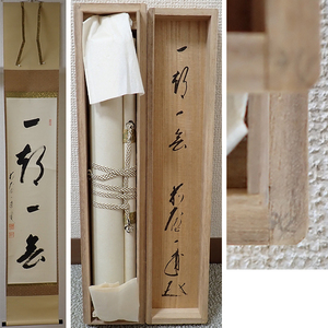 01859 前大徳寺 矢野一甫 作 「一期一会」掛軸（共箱）茶道具（茶掛/紫野）