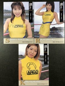 宮崎すみれ　藤咲理香　国分圭子　GALS PARADISE 2000　178～　レースクイーン グラビア トレカ トレーディングカード ギャルズパラダイス