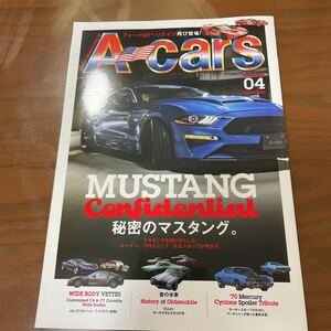 A cars MUSTANG秘密のマスタング