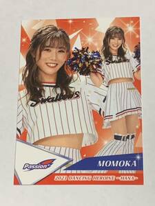 MOMOKA 2023 BBM チアリーダー 華 レギュラーカード ヤクルト Passion 即決