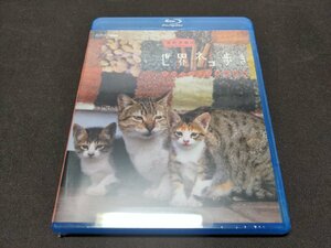 セル版 Blu-ray 未開封 岩合光昭の世界ネコ歩き / モロッコ・マラケシュ / eg045