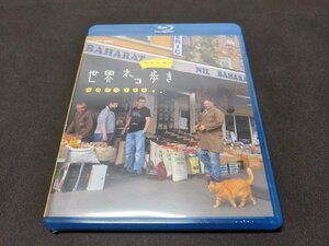 セル版 Blu-ray 未開封 岩合光昭の世界ネコ歩き / イスタンブール / eg045