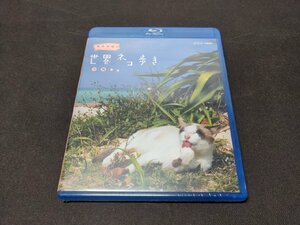 セル版 Blu-ray 未開封 岩合光昭の世界ネコ歩き / 沖縄 / eg045