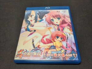 セル版 Blu-ray 真・恋姫†無双 六 (6) / eg577