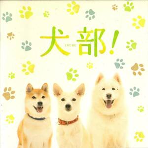 変形　映画パンフレット　「犬部！」　篠原哲雄　林遣都　中川大志　大原櫻子　2021年