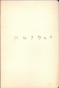 小型　映画パンフレット　「ハルフウェイ」　北川悦吏子　北乃きい　岡田将生　溝端淳平　2009年