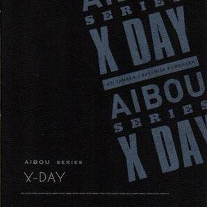 小型 映画パンフレット 「相棒シリーズ X DAY」 橋本一 田中圭 川原和久 国仲涼子 2013年の画像1