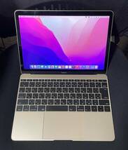 C154 ゴールド Apple MacBook Retina 12インチ M3 CPU /メモリ8GB/ SSD256GB_画像1