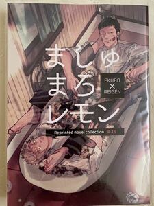 エク霊 小説 同人誌 ましゅまろレモン