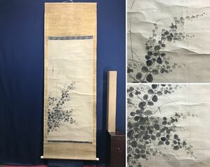 Art hand Auction Fukuhara Five Mountains/Hibari flowers and butterfly/Flower/Bird and flower/Hanging scroll☆Treasure ship☆AD-102, Painting, Japanese painting, Flowers and Birds, Wildlife
