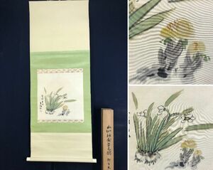 Art hand Auction Ochi Toyo / Daffodils and Adonis / Spring Flowers / Hanging Scroll ☆ Treasure Ship ☆ AD-166, Painting, Japanese painting, Flowers and Birds, Wildlife