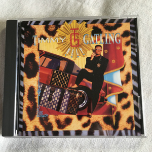 TIMMY GATLING「HELP」＊Guyのオリジナルメンバー、TIMMY GATLINGの1989年リリースのソロ唯一のアルバム　＊NJS「HELP」収録