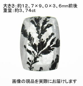 (Цена снижения цен) № 3 Дендритный кварц Рут (из Бразилии) (13 × 9 мм) &lt;жизнеспособность / Исцеление&gt; Красивые произведения искусства натуральный камень