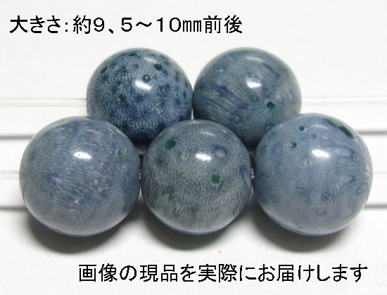 (Reduced Price) NO.2 Sponge Coral Blue 10mm (5 pieces) Amulet/Charity Natural Color Assorted Natural Stone Item, beadwork, beads, natural stone, semi-precious stones