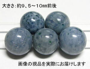 Art hand Auction (値下げ価格)NO.2 スポンジコーラル青 10mm(5粒入り) お守り･慈愛 天然の色合い 仕分け済み天然石現品, ビーズ細工, ビーズ, 天然石, 半貴石