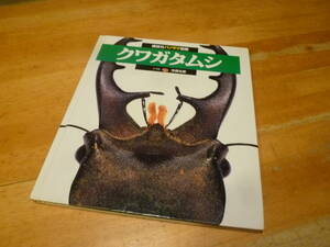 .. company panorama illustrated reference book stag beetle 