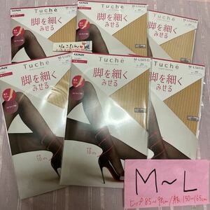 グンゼ Tuche ストライプ柄　ヌードベージュ M-L ストッキング　6足セット