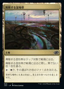 MTG ■土地/日本語版■ 《興隆する湿地帯/Thriving Moor》ジャンプスタート2022 J22