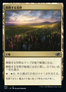 MTG ■土地/日本語版■ 《興隆する荒野/Thriving Heath》ジャンプスタート2022 J22