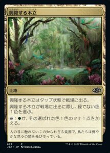 MTG ■土地/日本語版■ 《興隆する木立/Thriving Grove》ジャンプスタート2022 J22