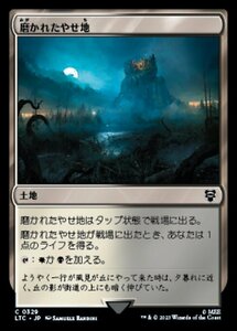 MTG ■土地/日本語版■ 《磨かれたやせ地/Scoured Barrens》指輪物語：中つ国の伝承 統率者　LTC